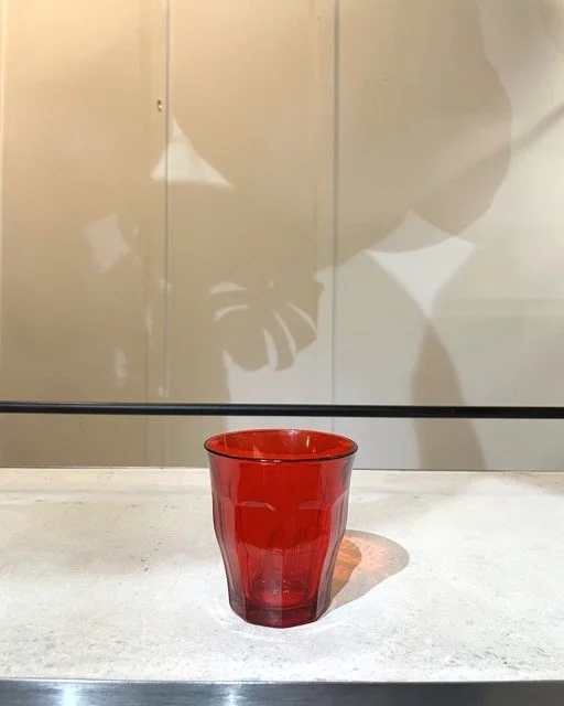 IMG_6955 Medium.jpeg