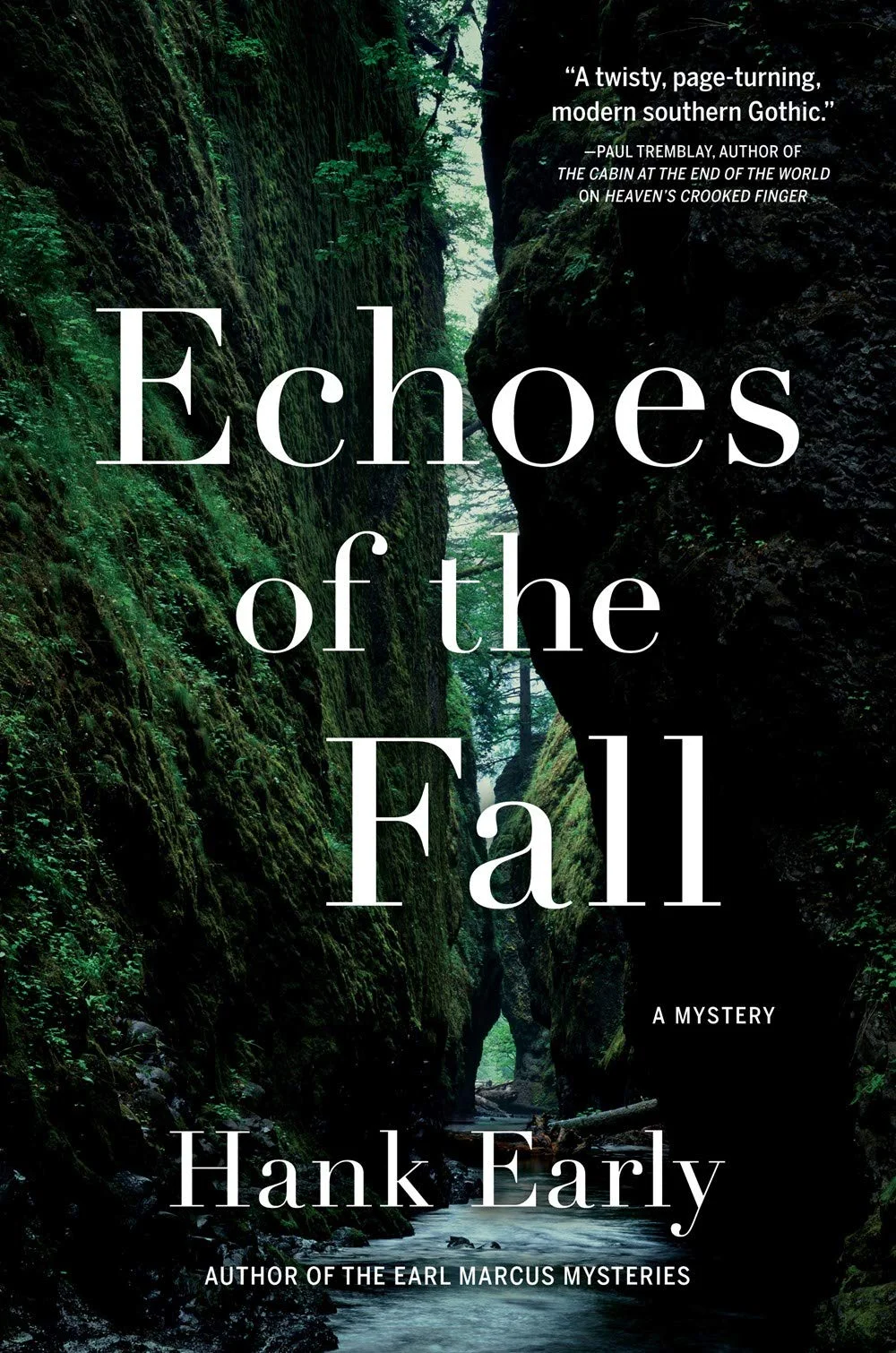 Echoes of the Fall Book Cover.jpg