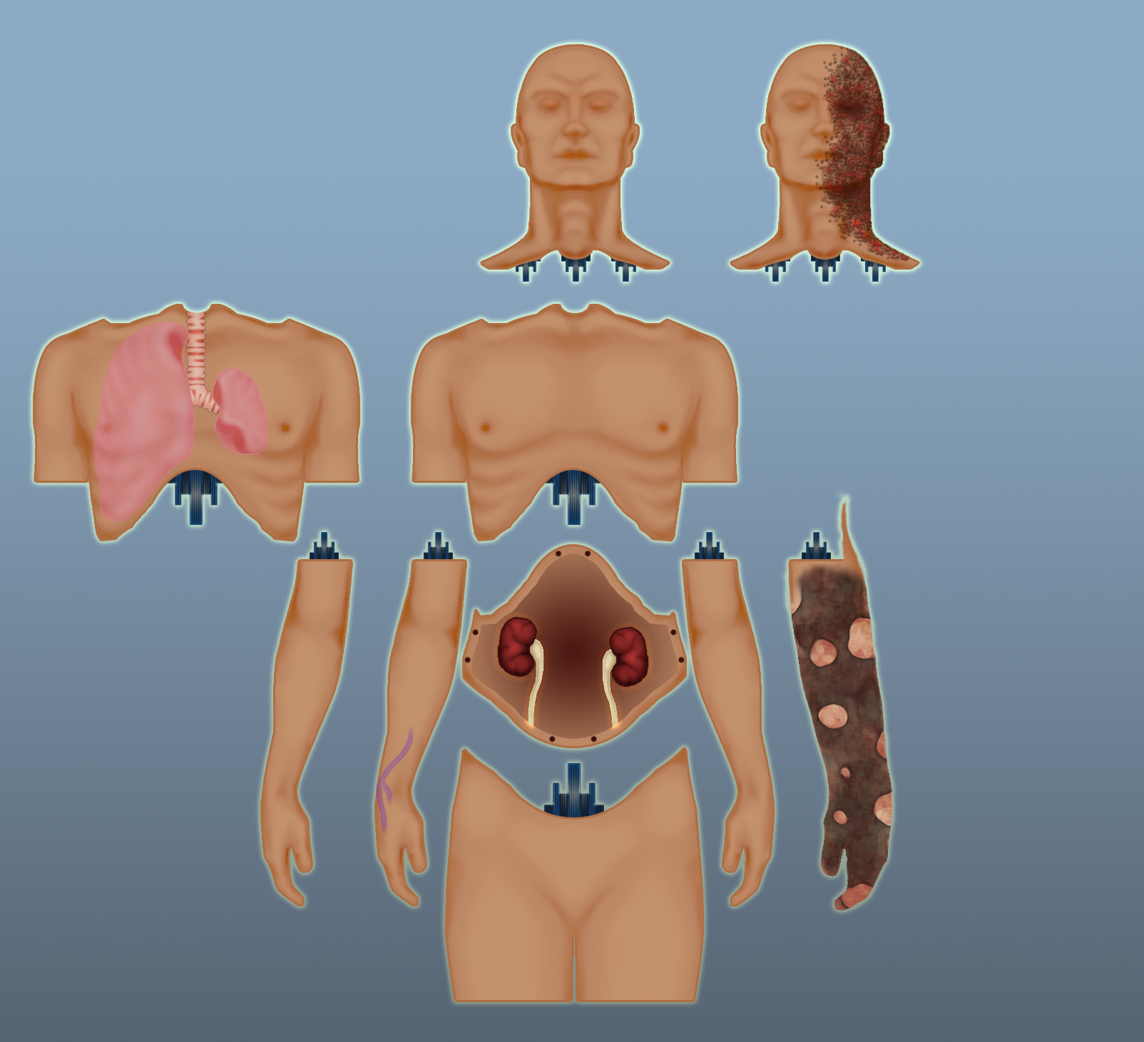 Advanced Modular Manikin (AMM)