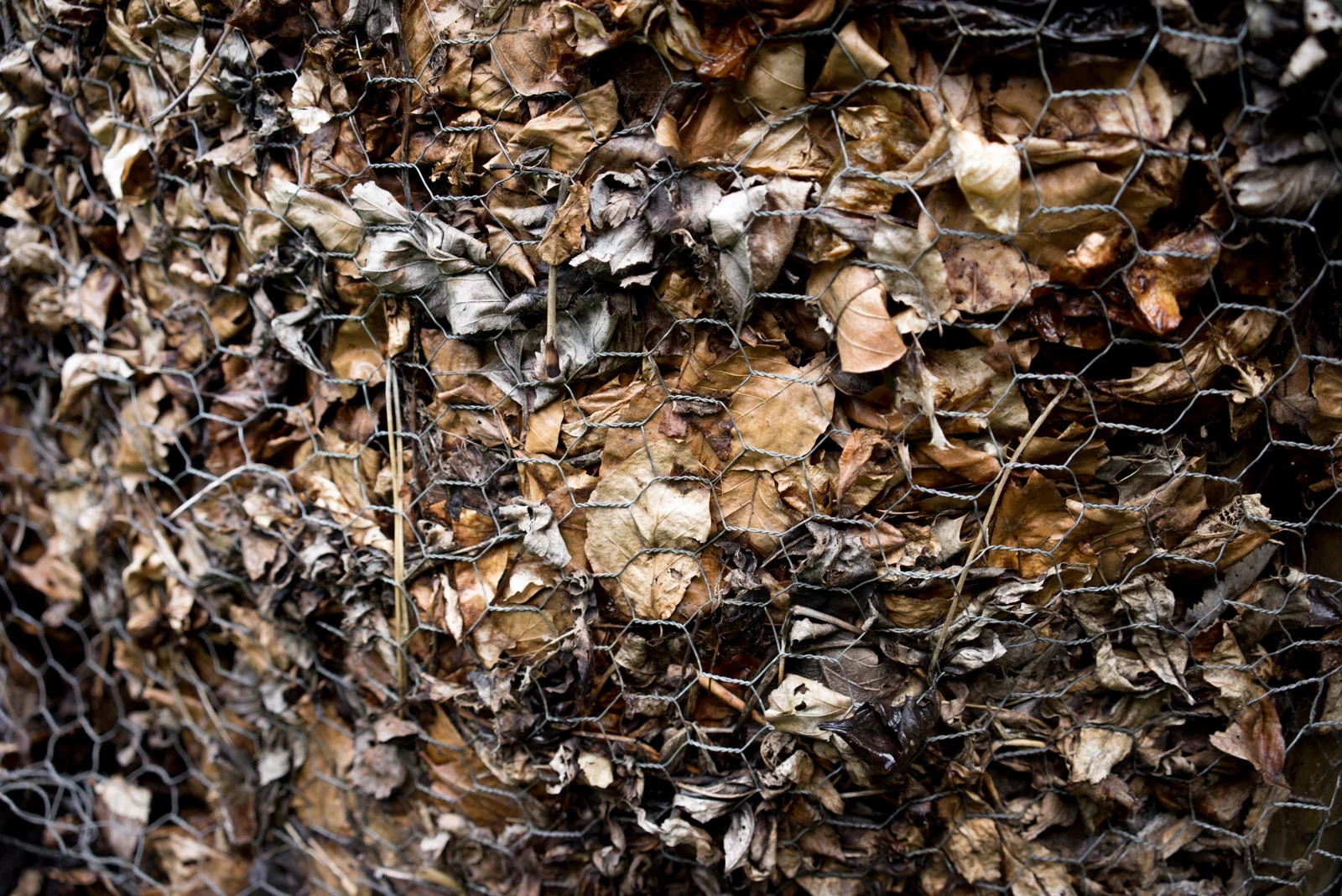 Scottish Compost
