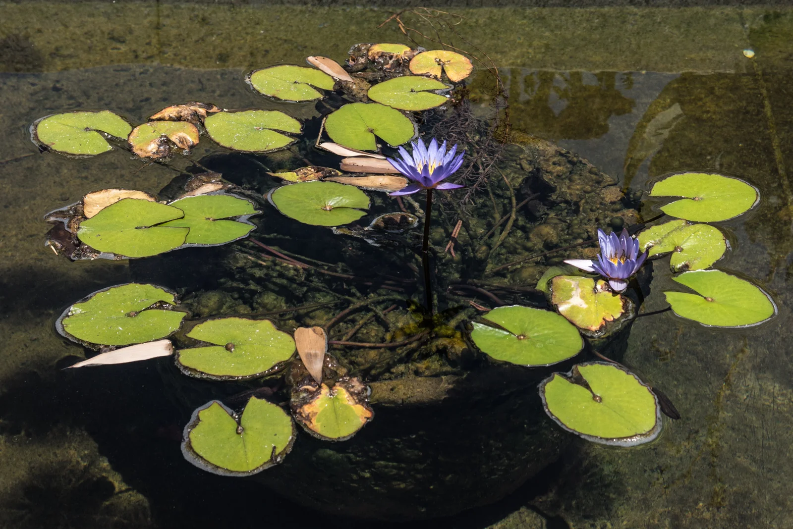 Tranquility