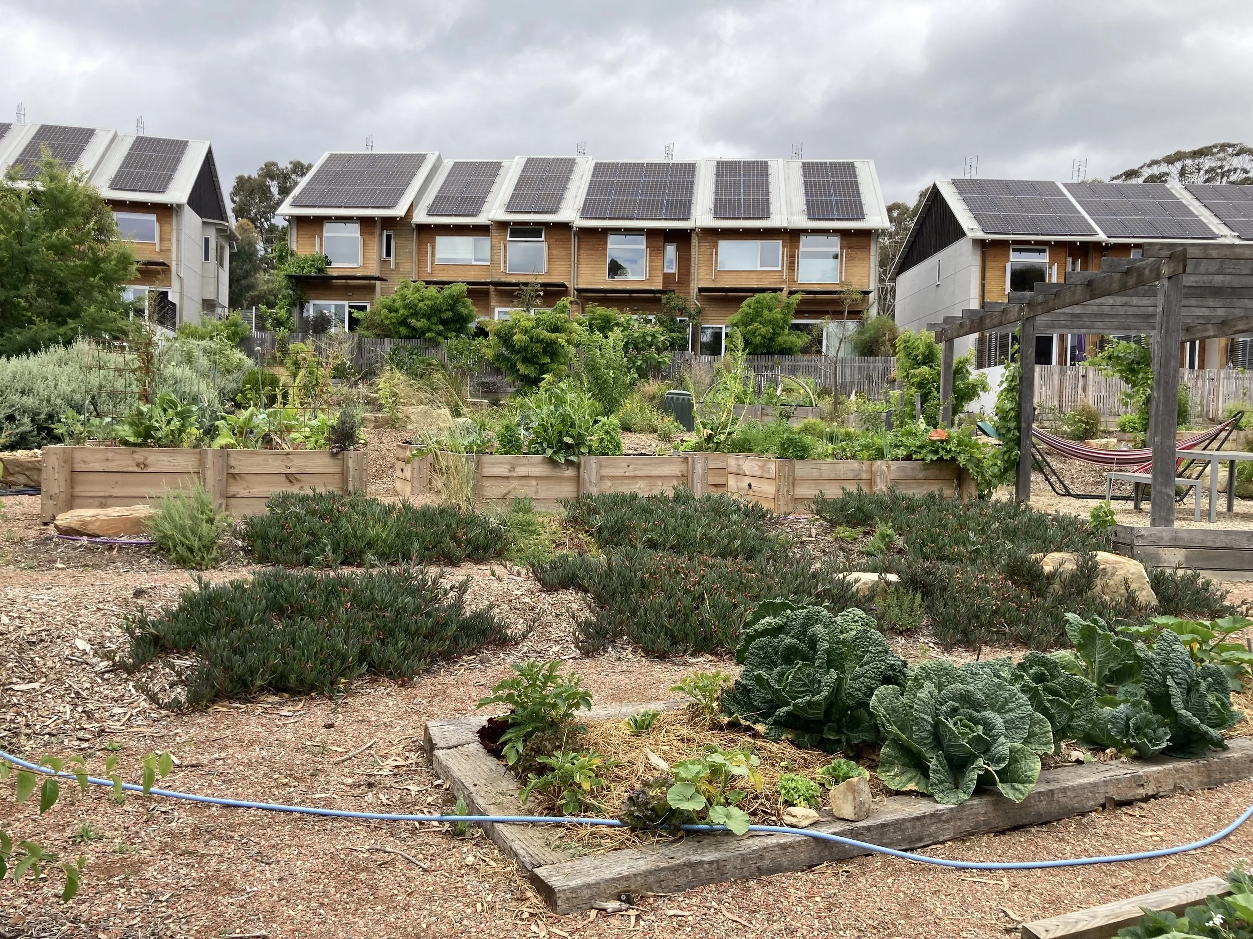 23-11-26 Blocks A and B from the garden_ abundance.jpeg