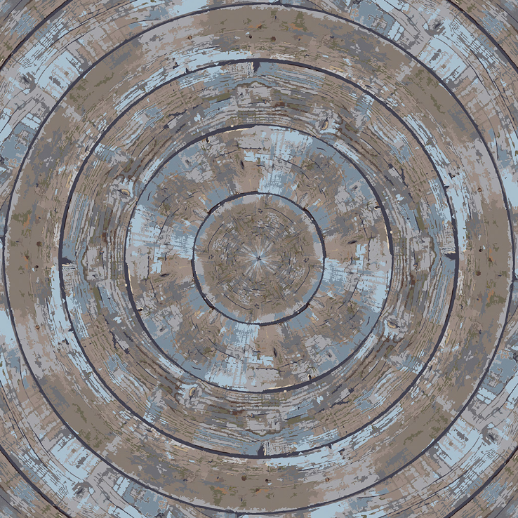 c1601-p2-rug01-c12.png