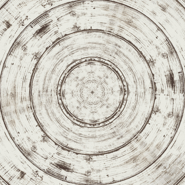c1601-p2-rug02-c01.png