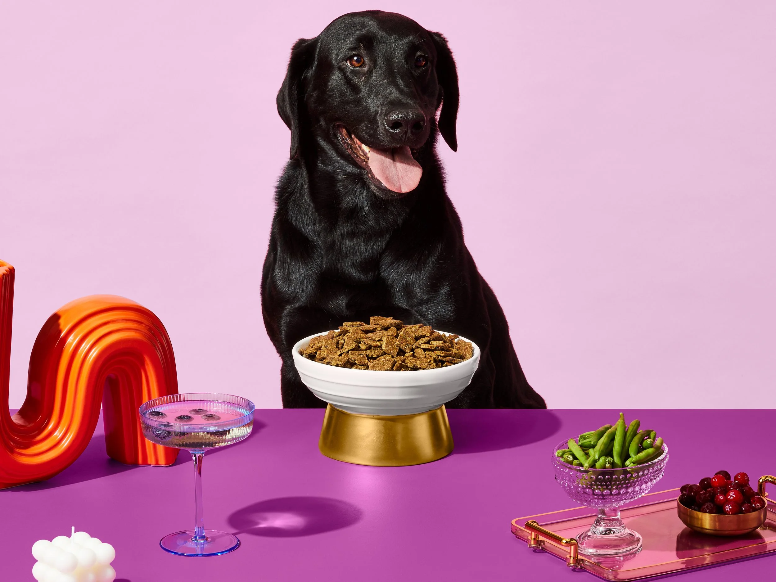 979709539_PTGM_PHOTO_PetsTable-Product&Packaging_2023-02_Shot17.jpg