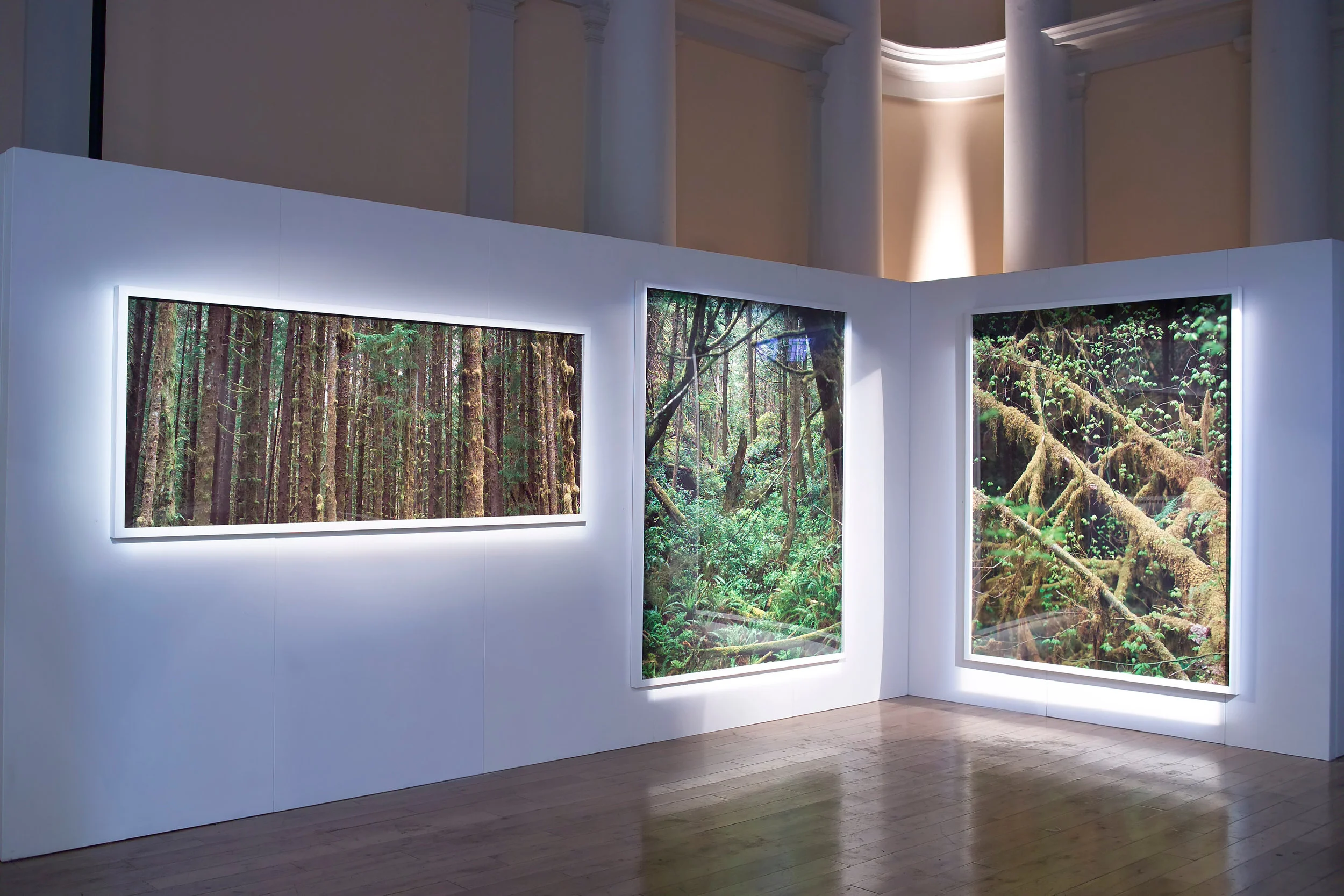 Installation View, Ithaka, 2008, Shoreditch Town Hall, London