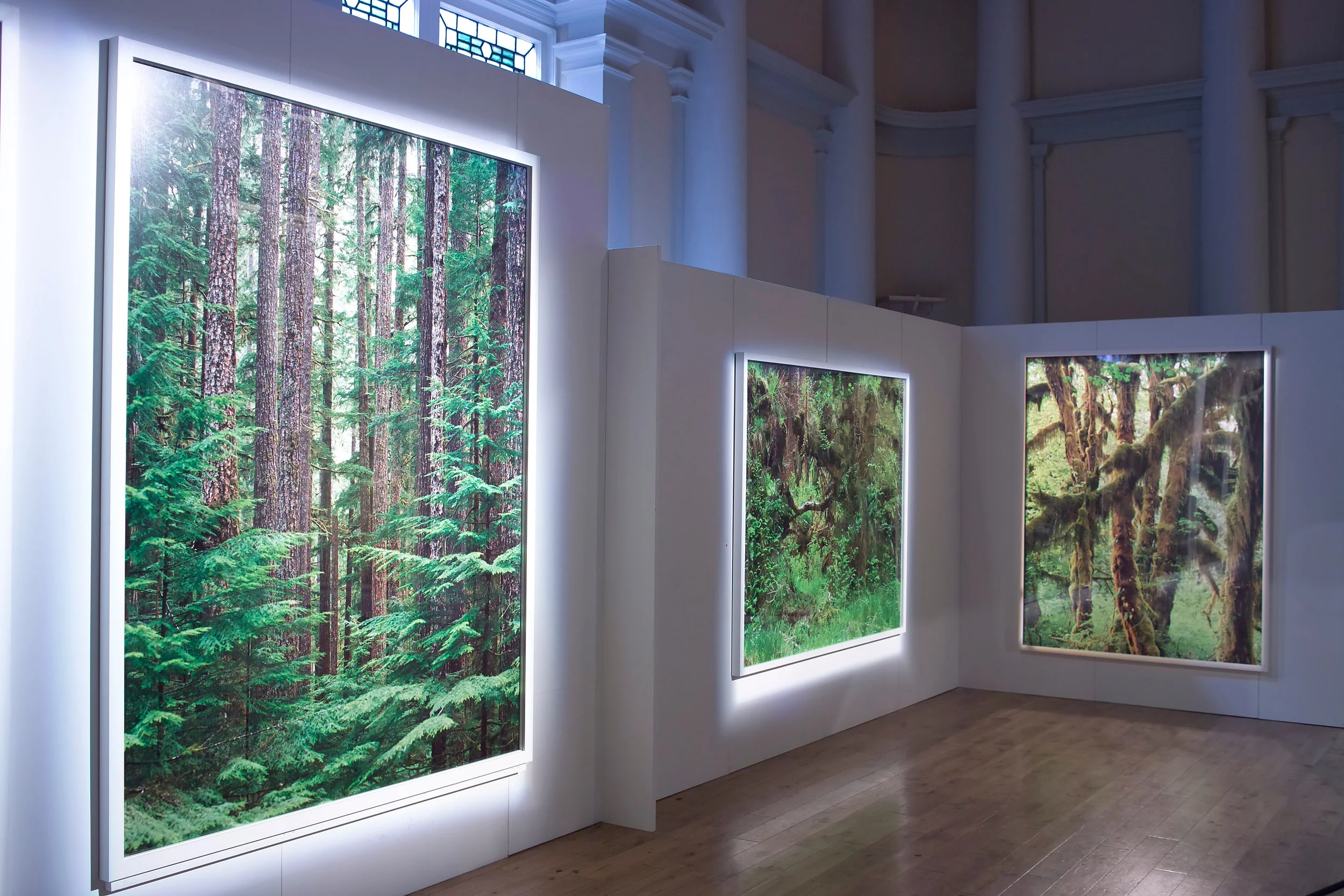 Installation View, Ithaka, 2008, Shoreditch Town Hall, London