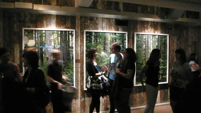 Installation View, Ithaka, 2008, Soho House Shoreditch, London