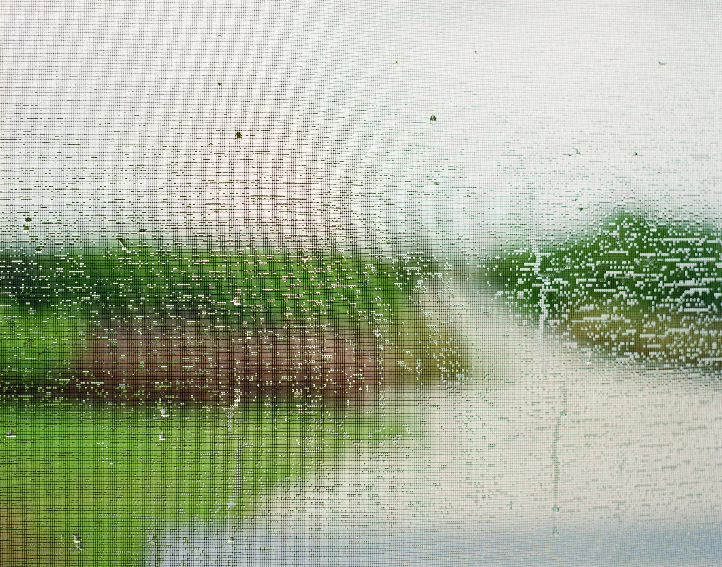 Untitled (Screen II, Path), 2002 / archival pigment print, 23.5 x 30 inches , edition of 5 plus 2 AP