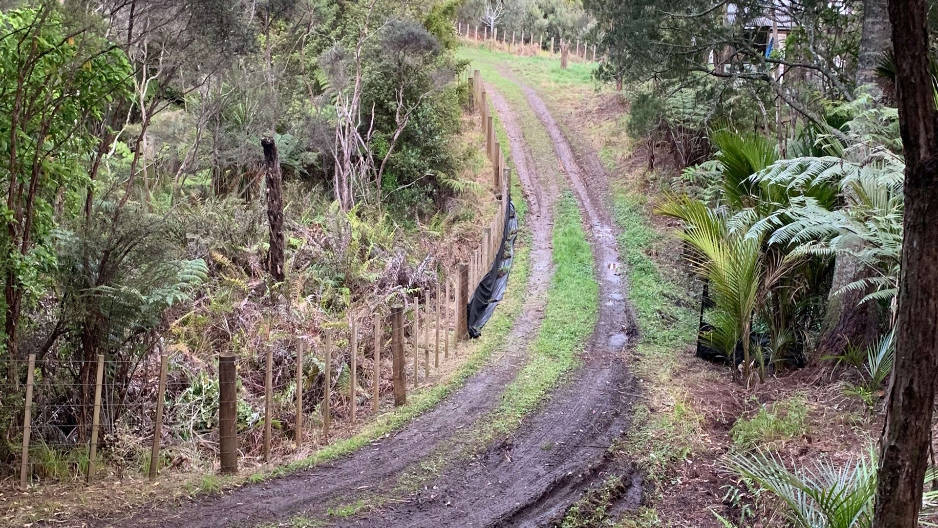 Taylor Road5.jpg