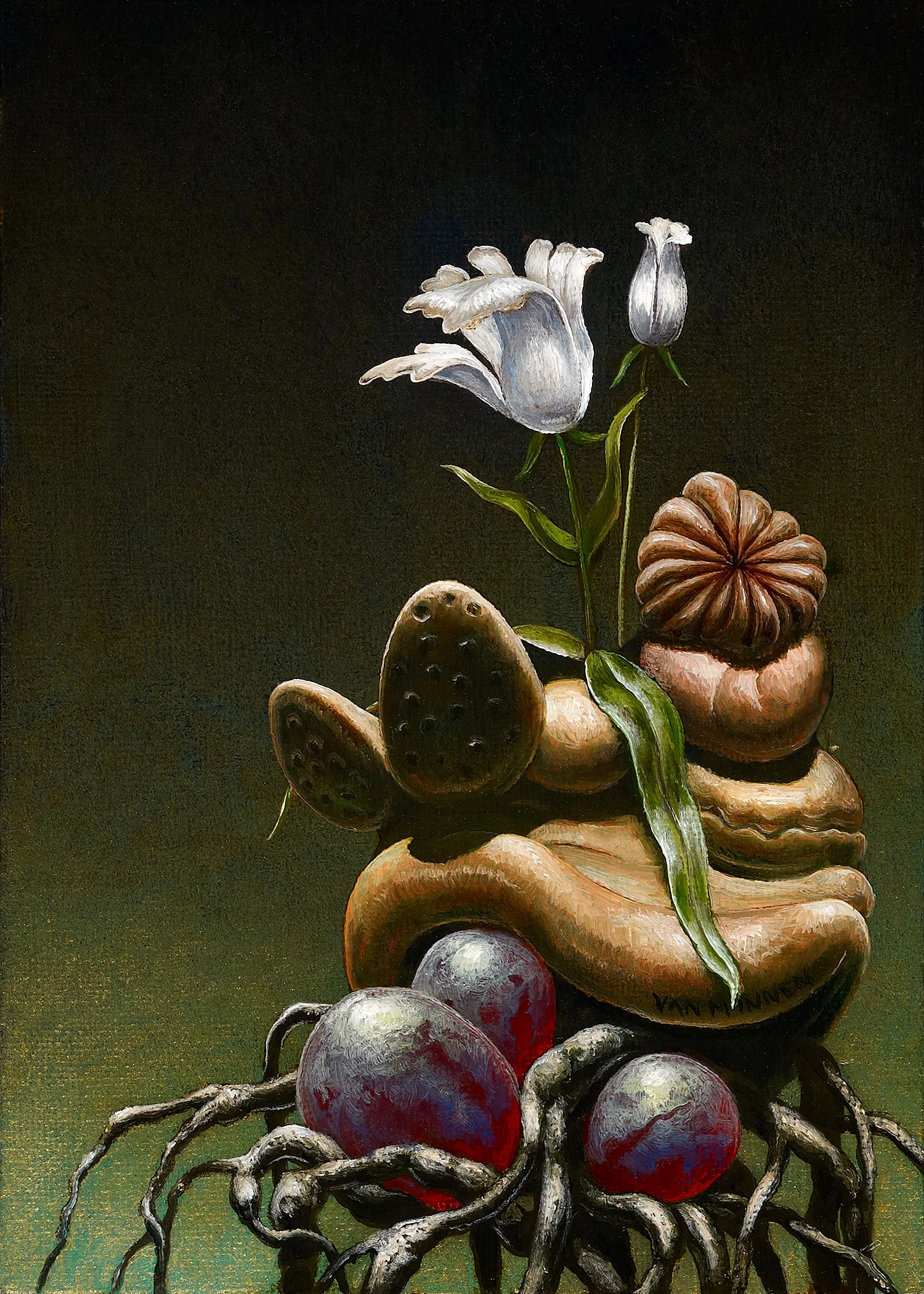 Corsage 1.2