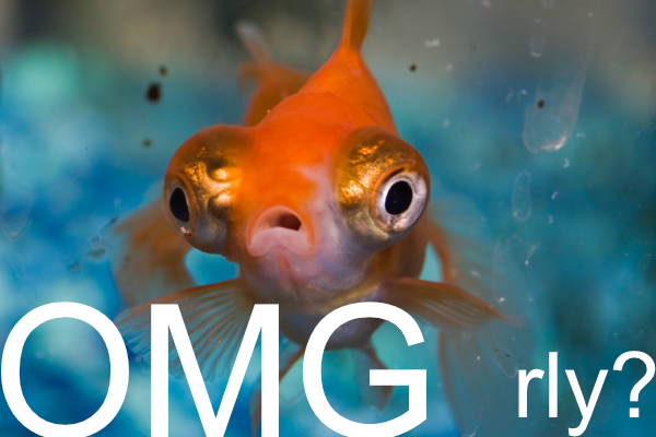 Yes, really.