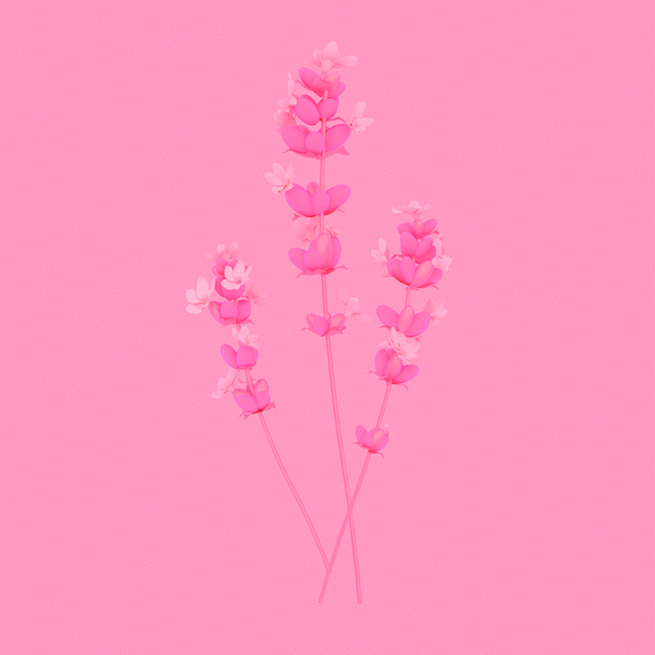 Lavender.gif