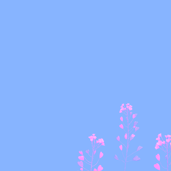 Shep_Field_Pan.gif