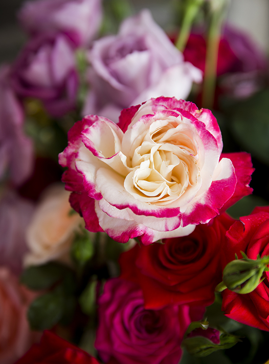portobellorose-bouquet-detail-enmasse3.jpg
