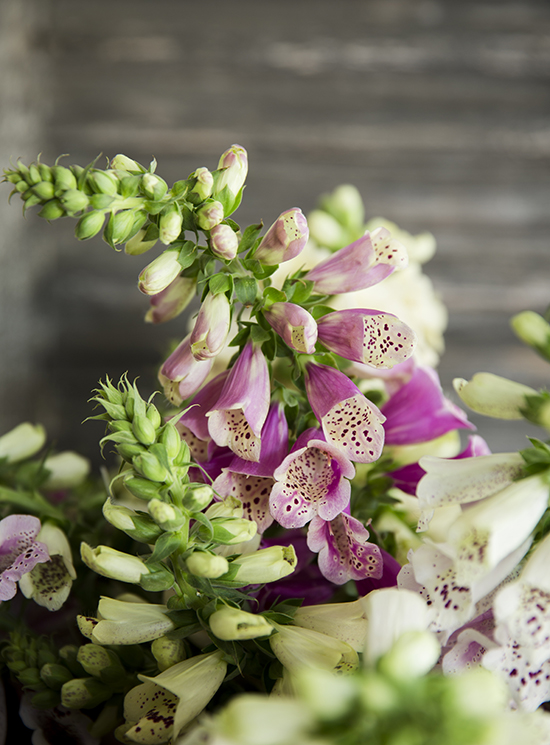 portobellorose-bouquet-detail-enmasse4.jpg