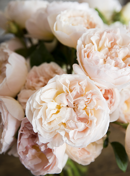 portobellorose-bouquet-detail-seasonal1.jpg