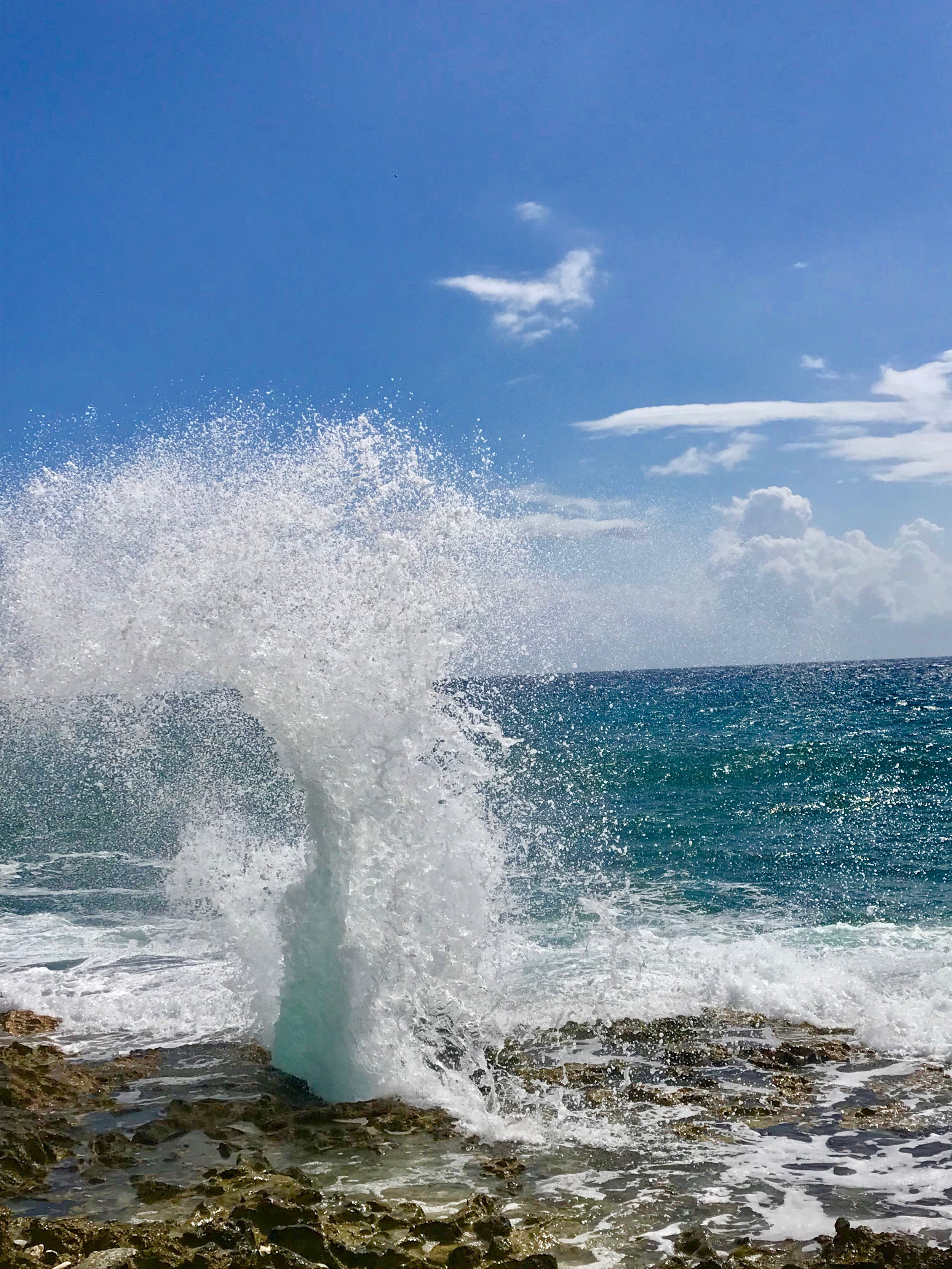 The Blow Holes