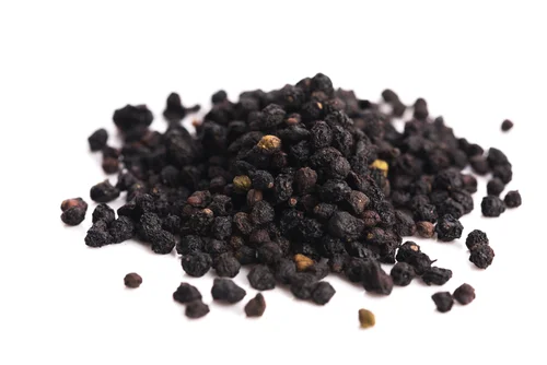 Elder Berries - Sambucus nigra