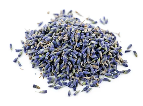 Lavender - Lavendula