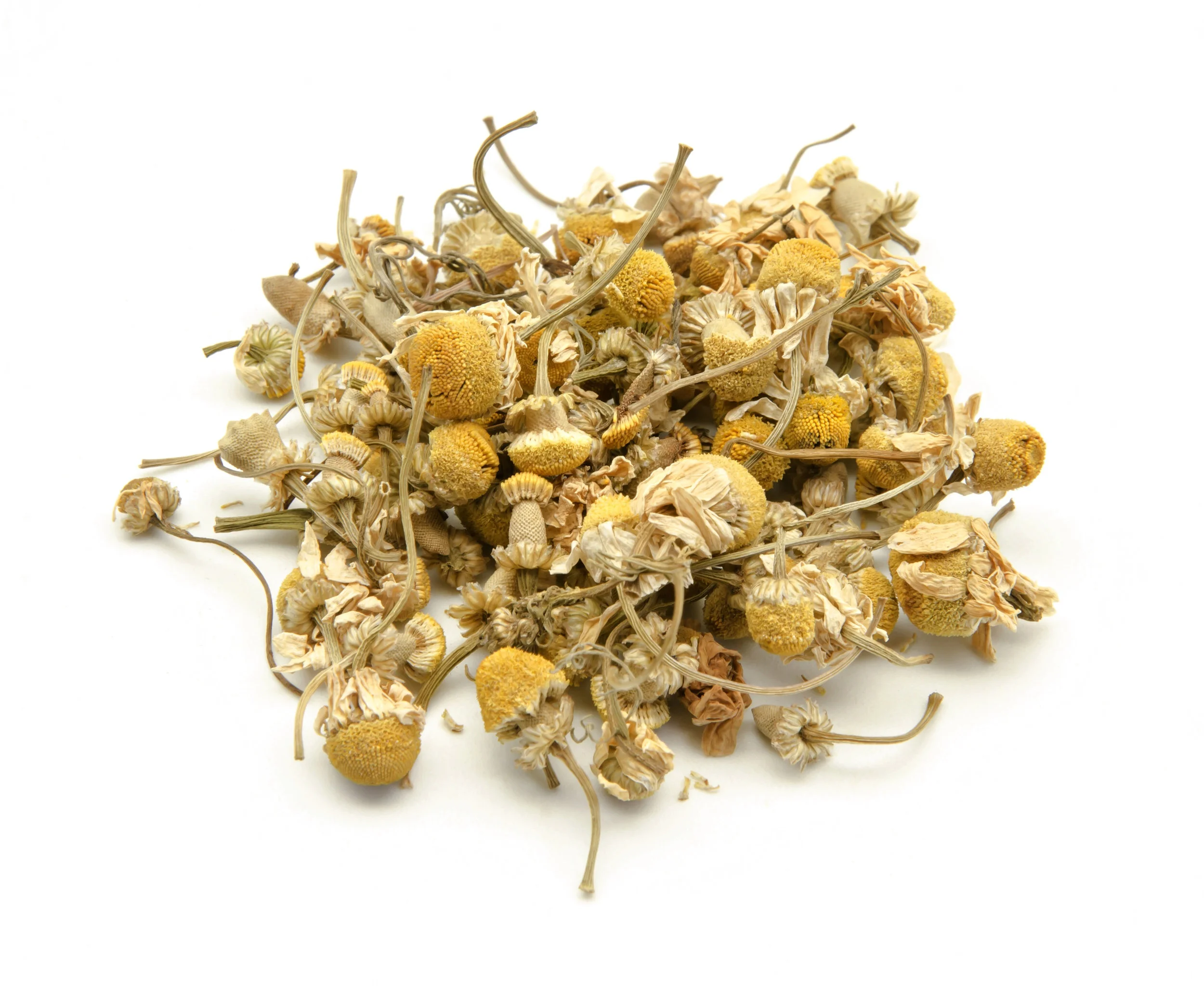 Chamomile - Matricaria recutita