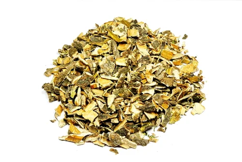 Cramp Bark - Viburnum opulus