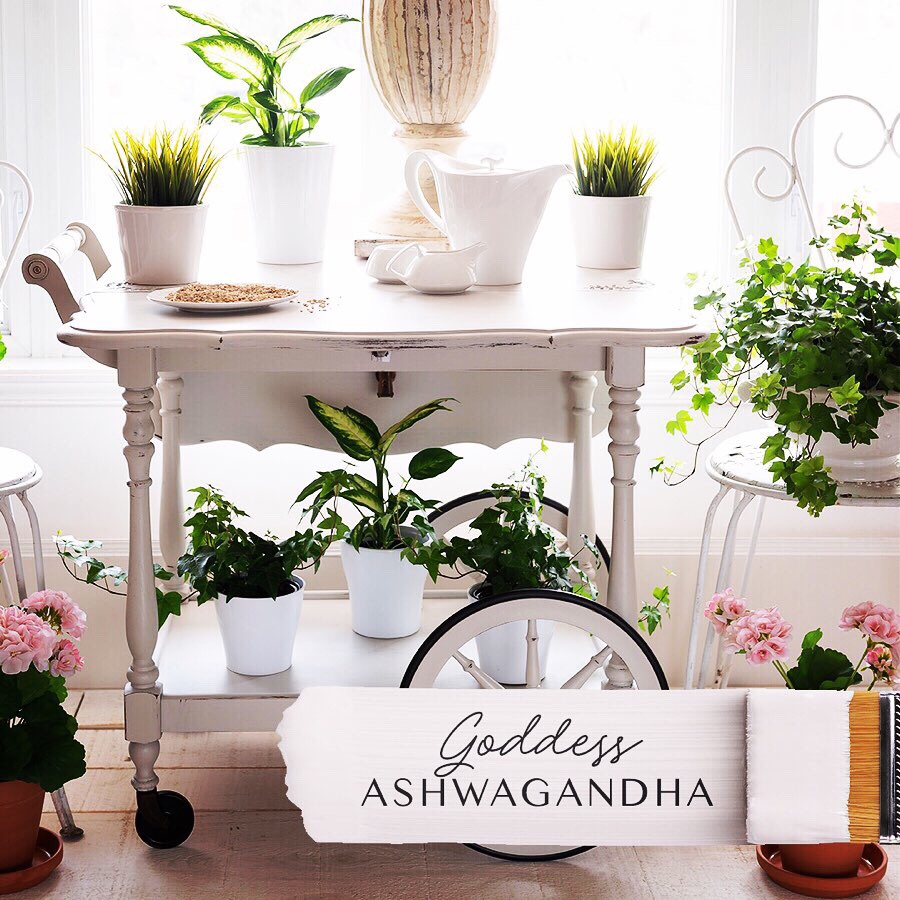 Lisa Marie Holmes Signature Collection: Goddess Ashwagandha