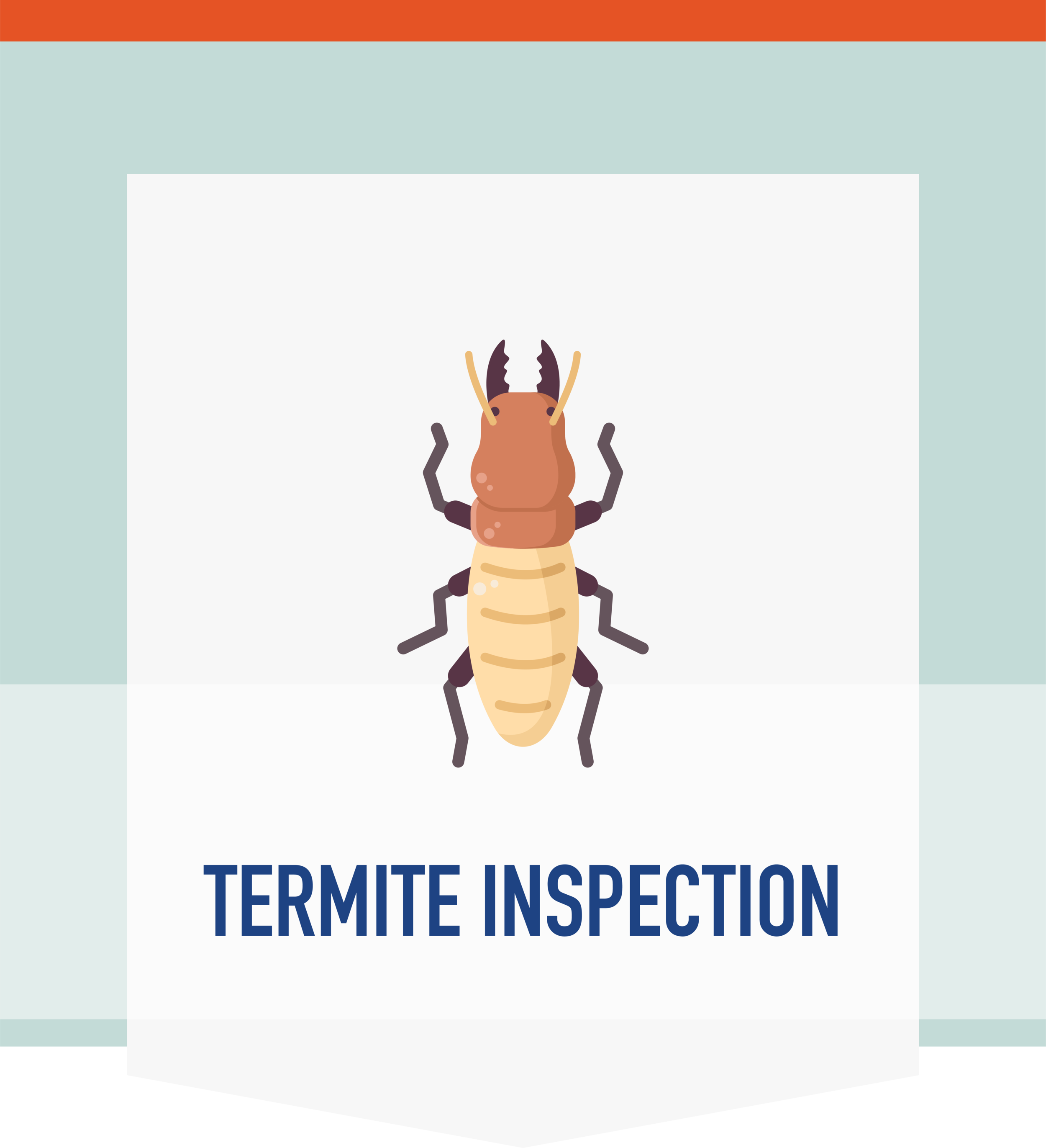 Major League Pest and Termite Treatments