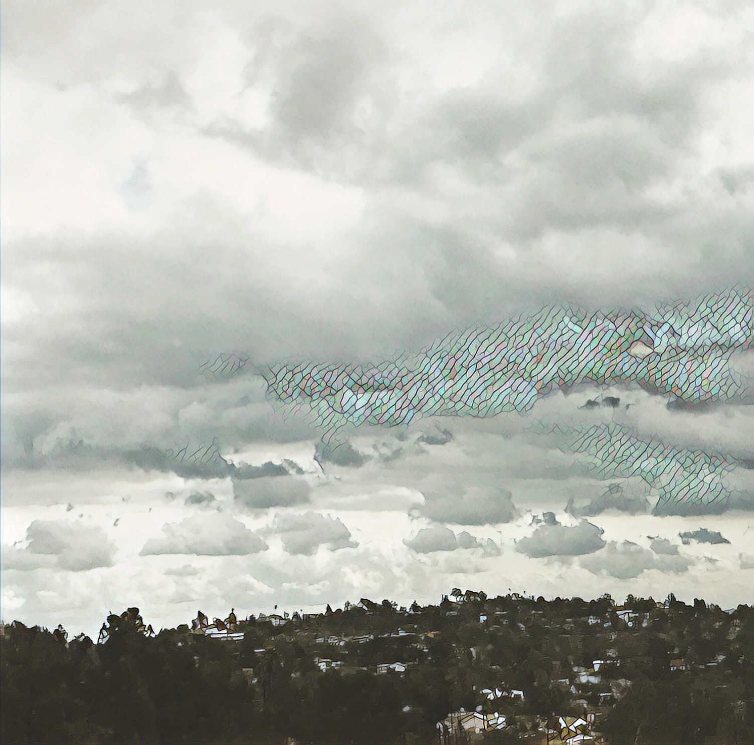 IMG_9386.png