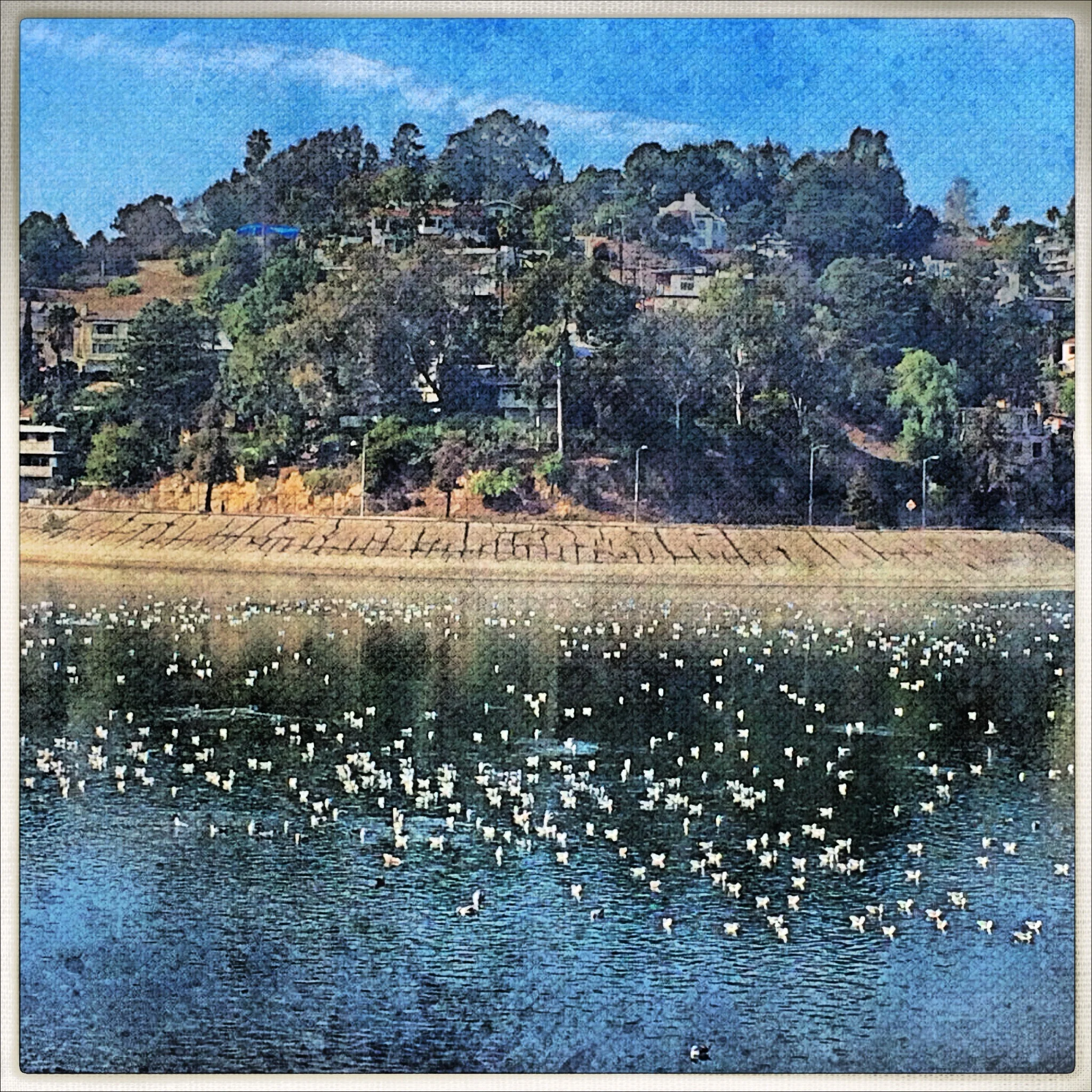 IMG_9483.jpeg