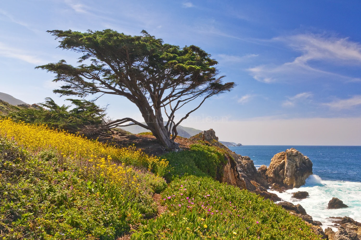 California Coast