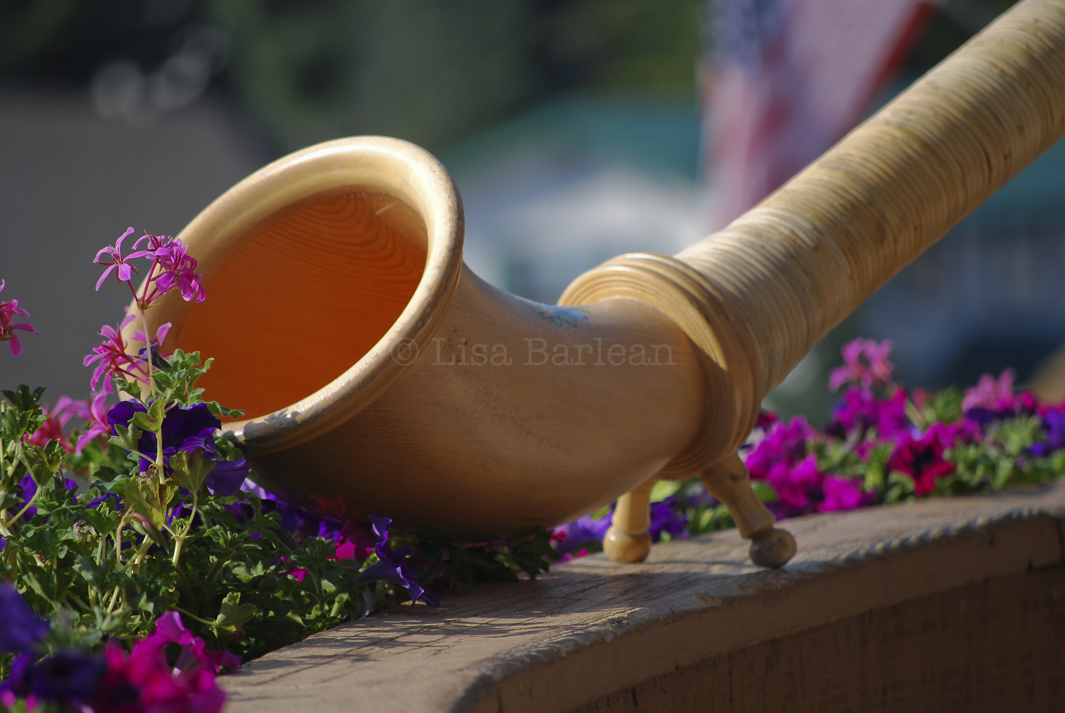Alphorn