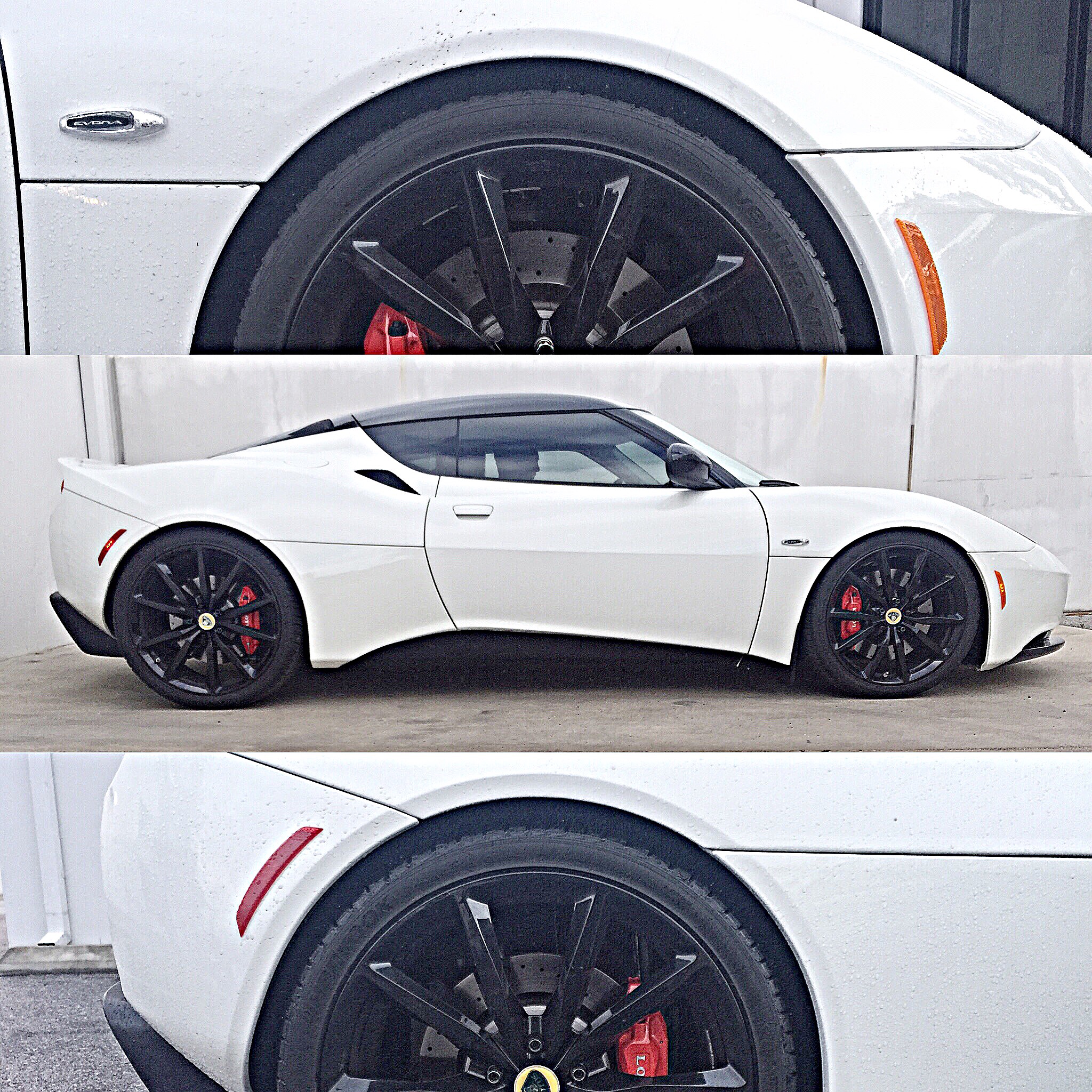 lowered collage.jpeg