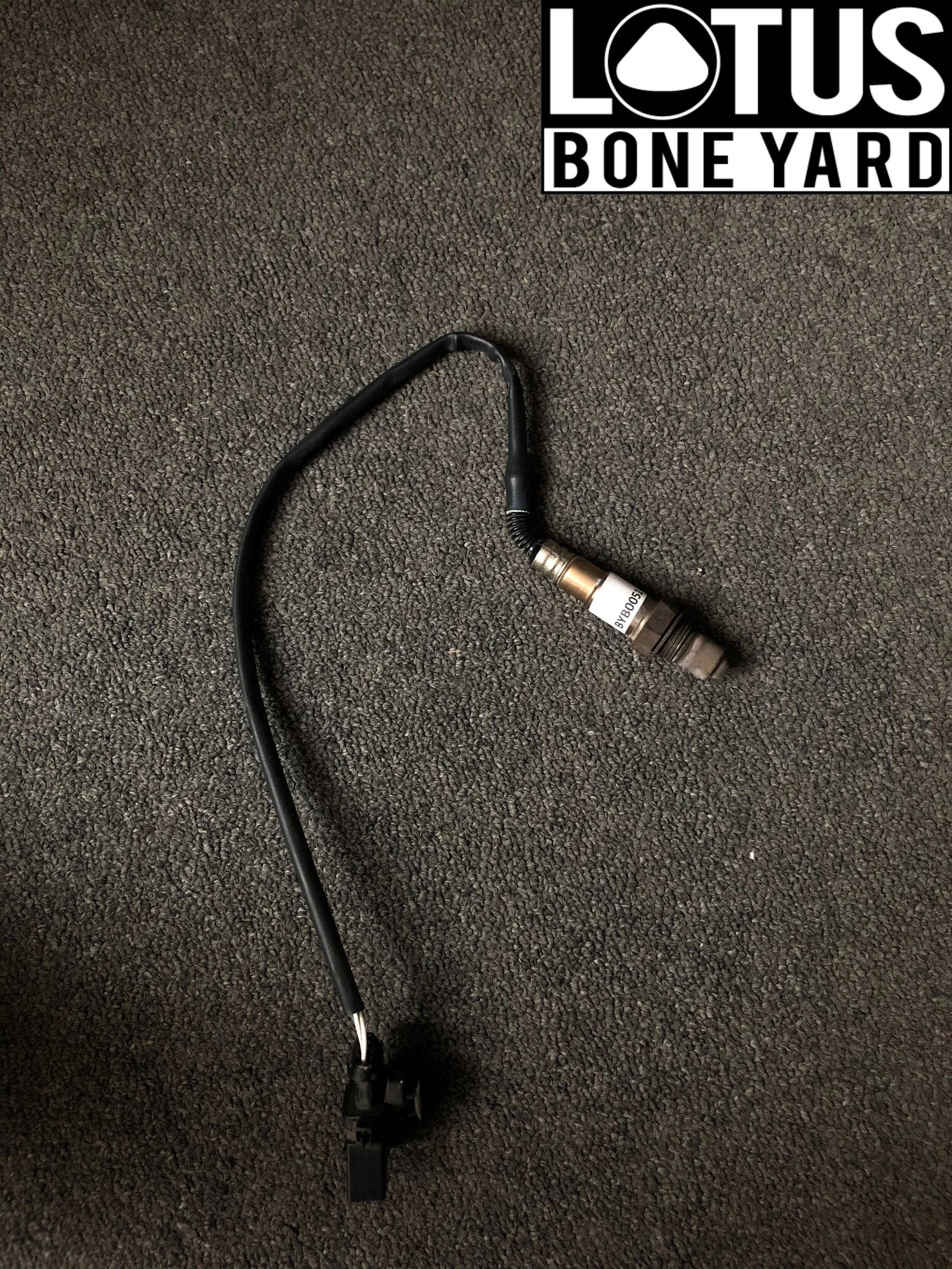 1A86CE3E-8BA0-4E7B-AB64-614C26B6B966