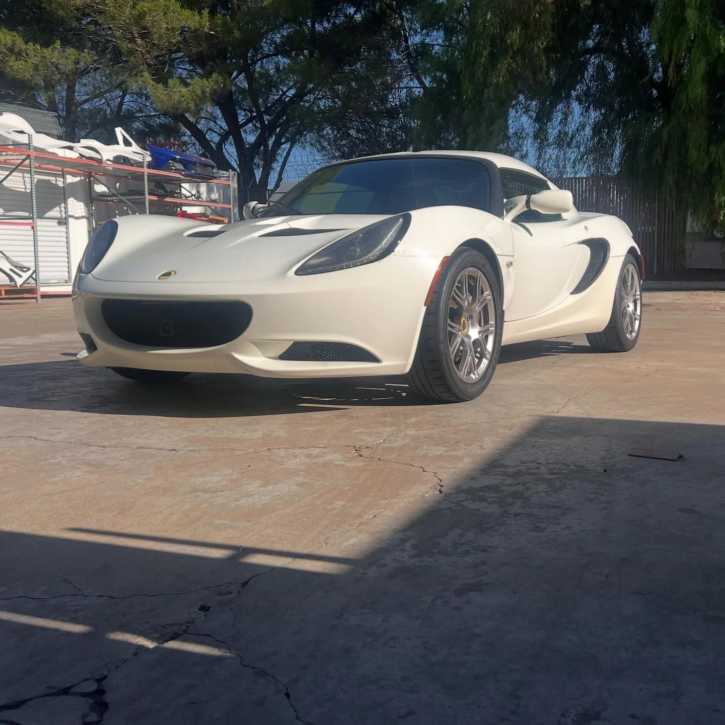 S3 Elise in white is quite rare and special