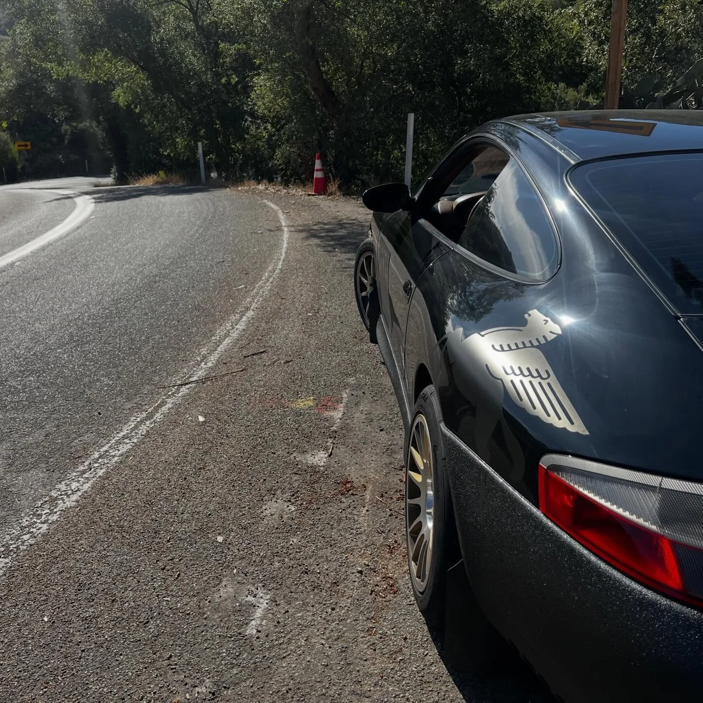 Canyon carving fun this morn&hellip;really pushed her to see what she can do!  Soaks up the bumpy roads nicely..