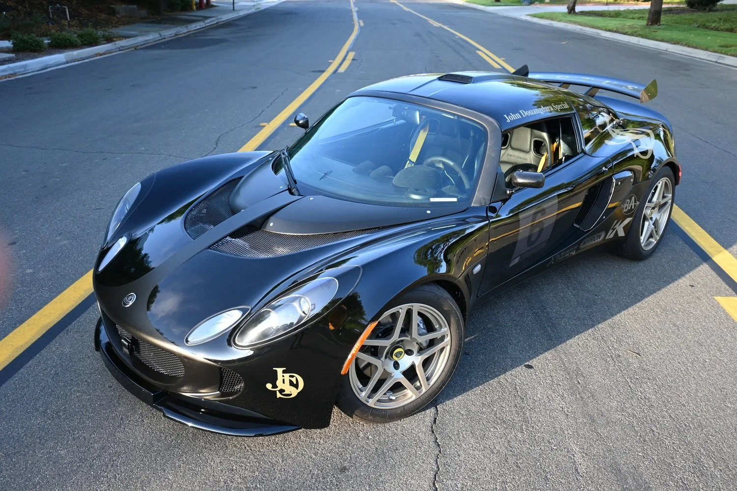 stellaCORSE light gold 2.jpg