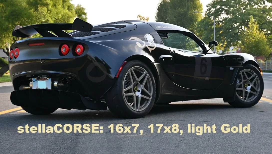 stellaCORSE light gold 3.jpg