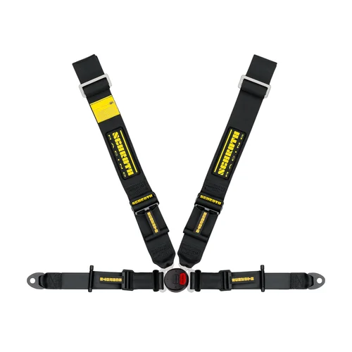 Schroth+4pt.jpg