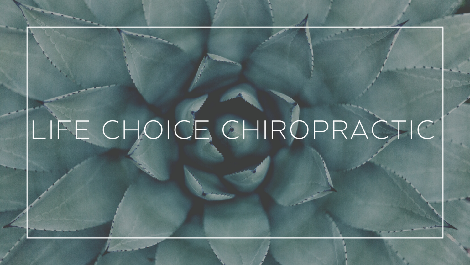 Life Choice Chiropractic