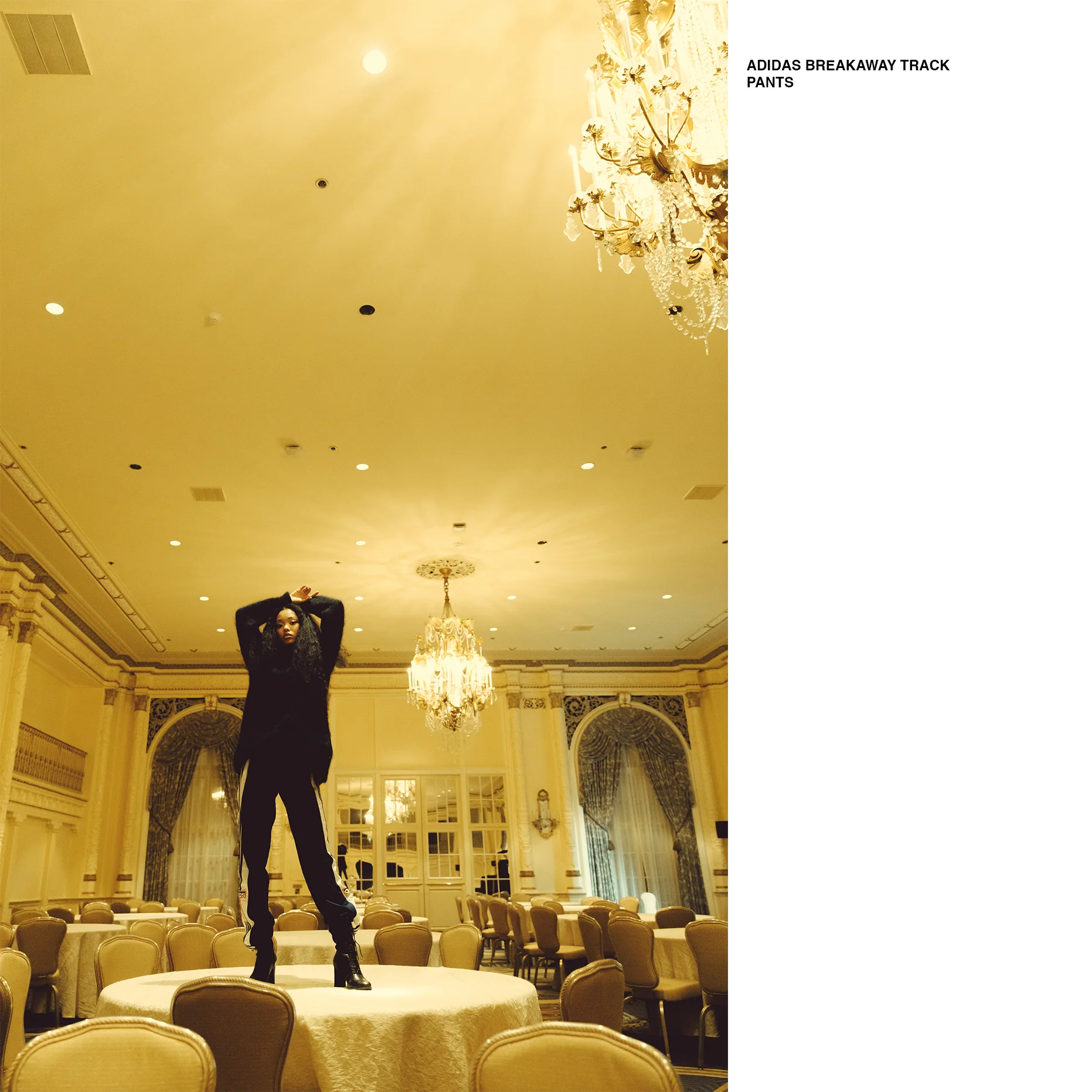 fairmont_adidaspants2.jpg