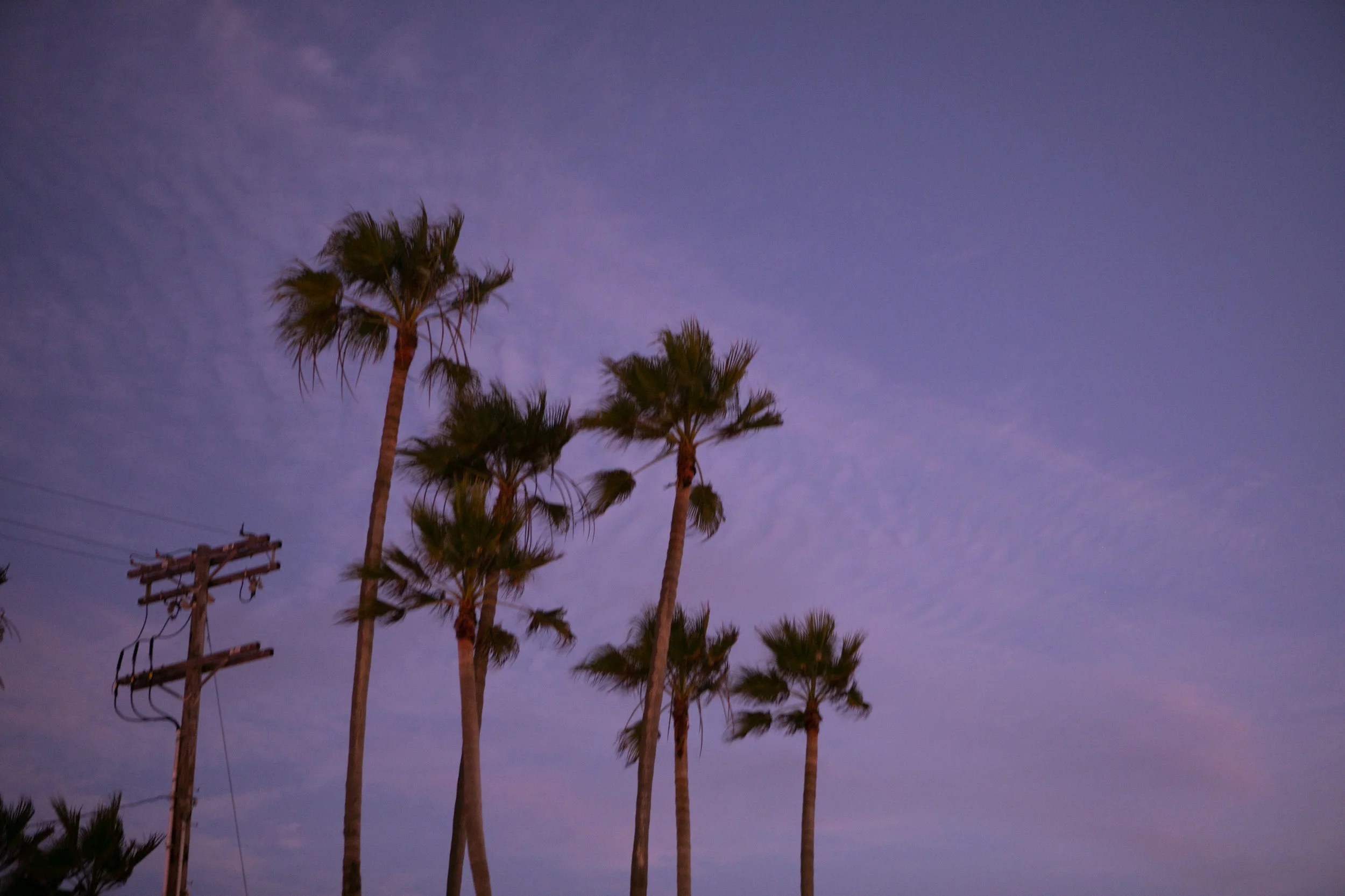 LA Vibes: A Dreamy Shoot for West~Bourne Cafe