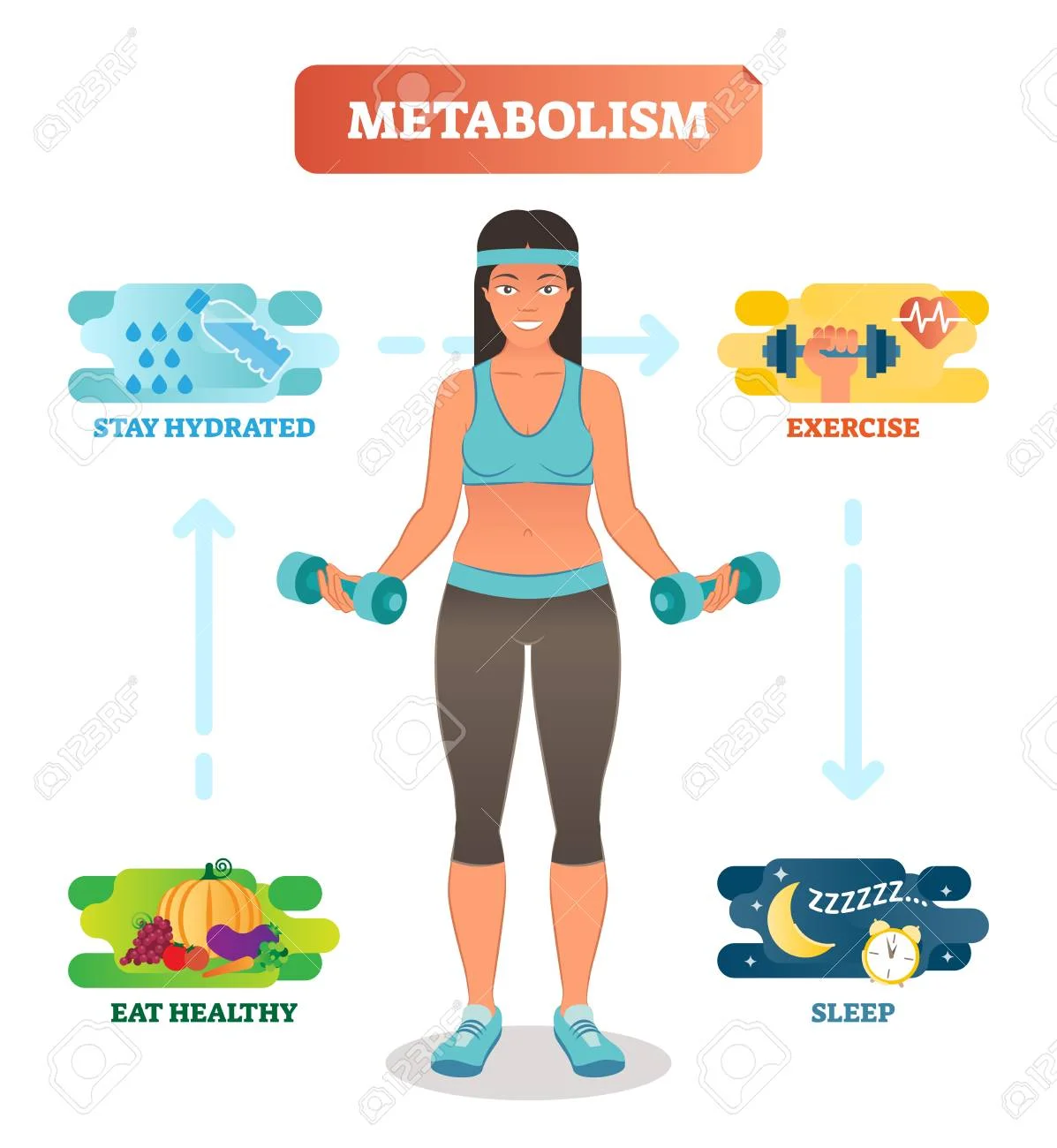 metabolism.jpg