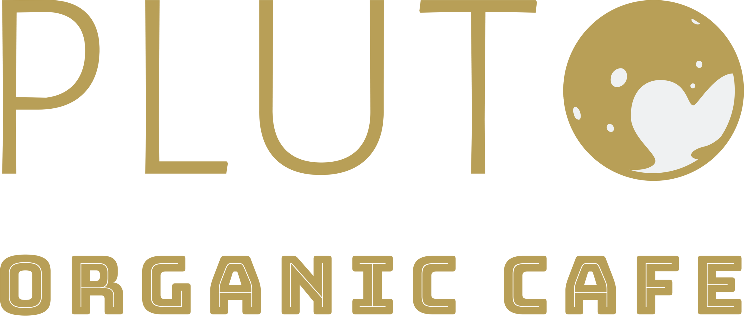 Pluto Organic Cafe 