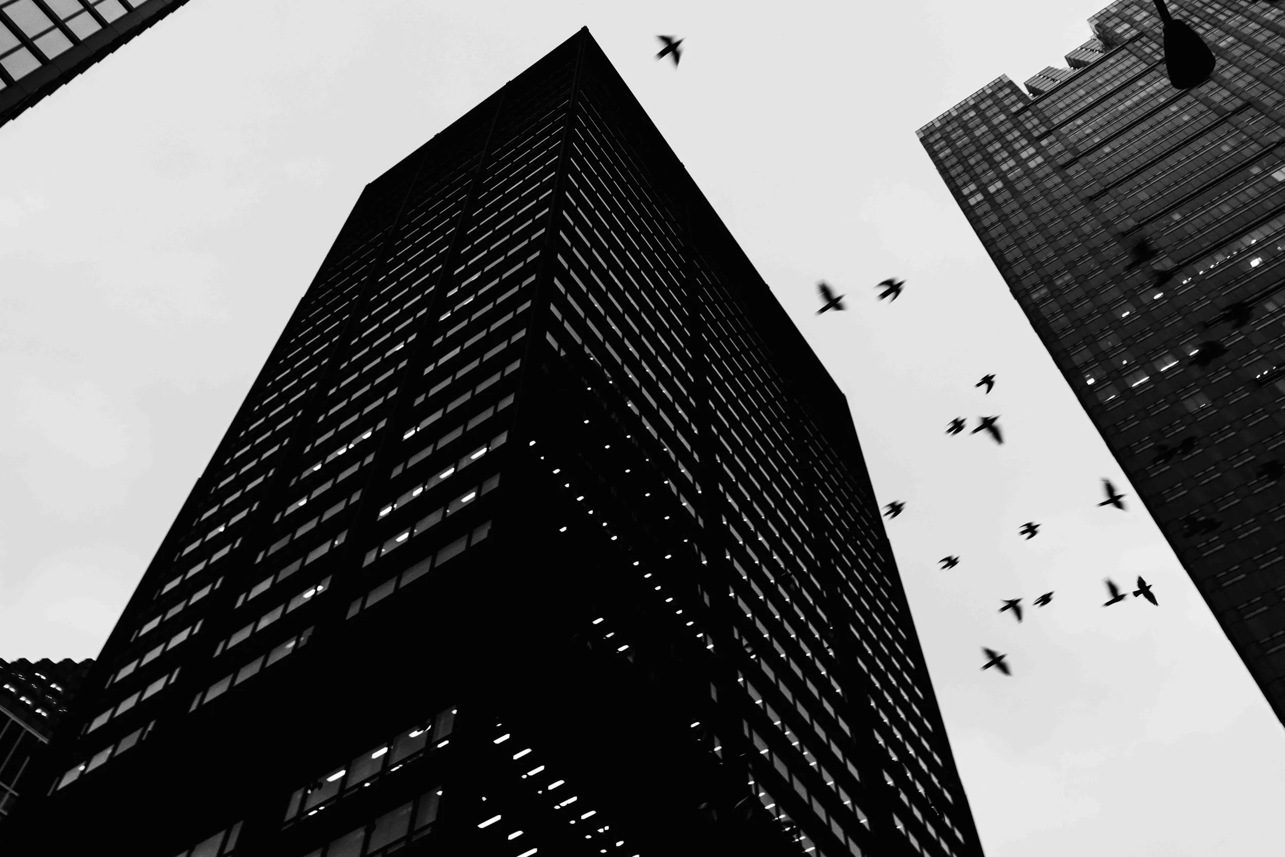 Chicago_Illinois_3129_Neil_Durham.jpg