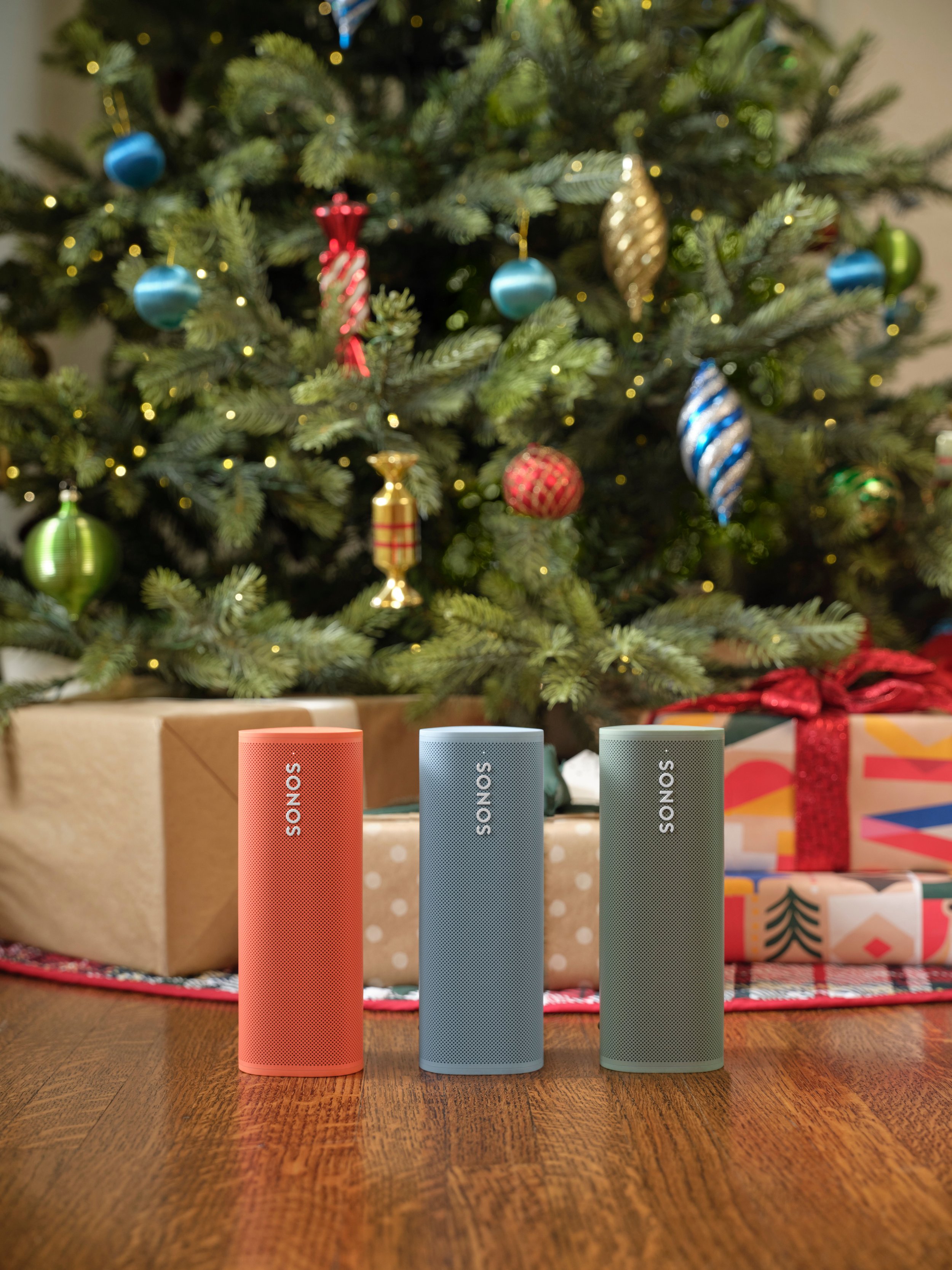 Sonos Roam - Holiday