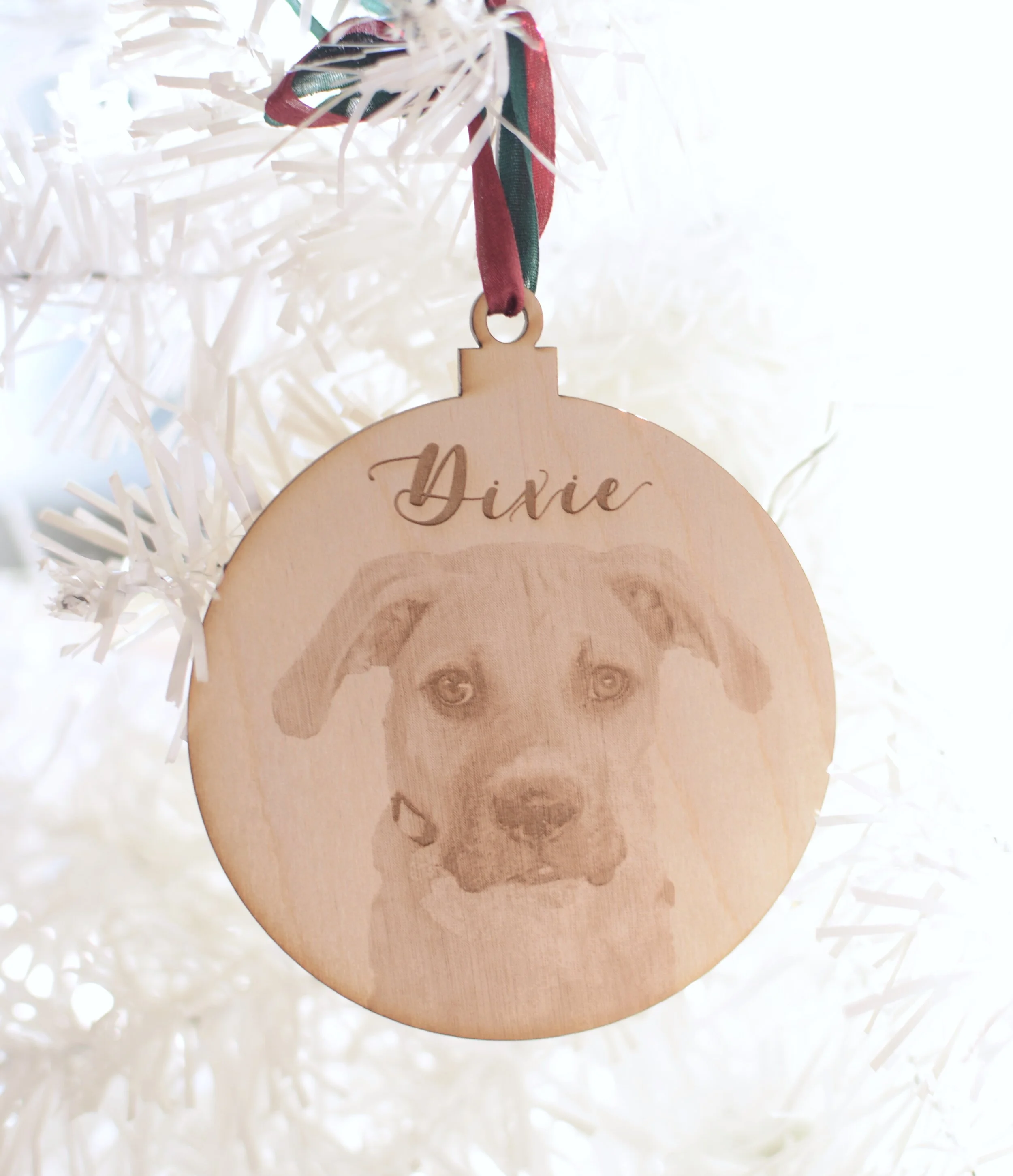 DOG_1610.jpeg