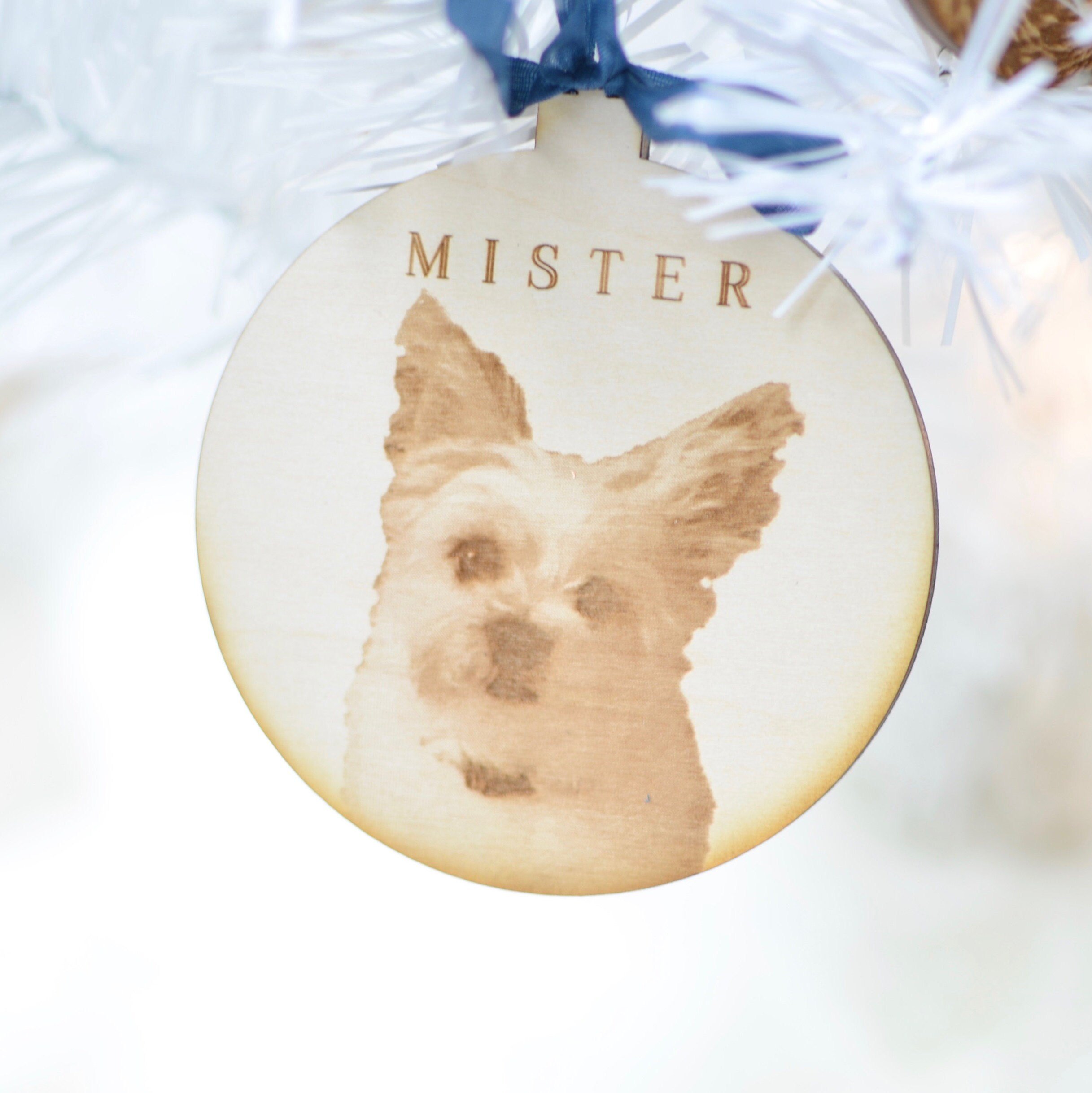 https://i.etsystatic.com/10865568/r/il/2d9a13/2077583708/il_fullxfull.2077583708_3t82.jpg