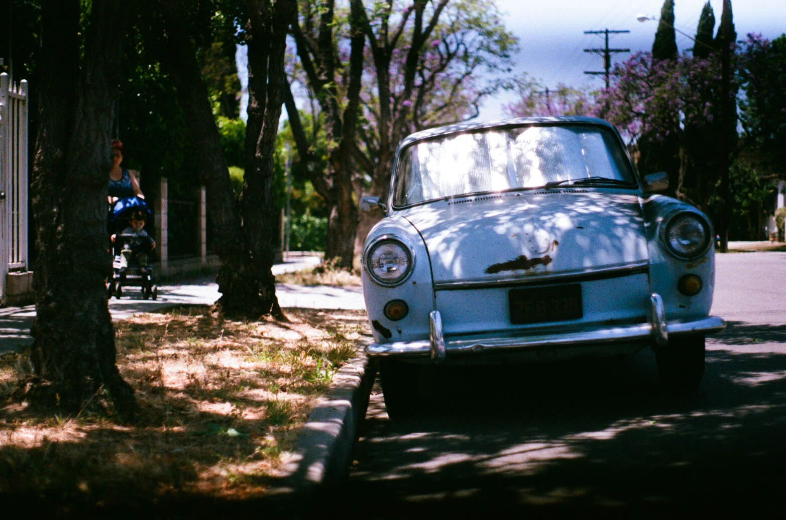 Baby Blue.jpg