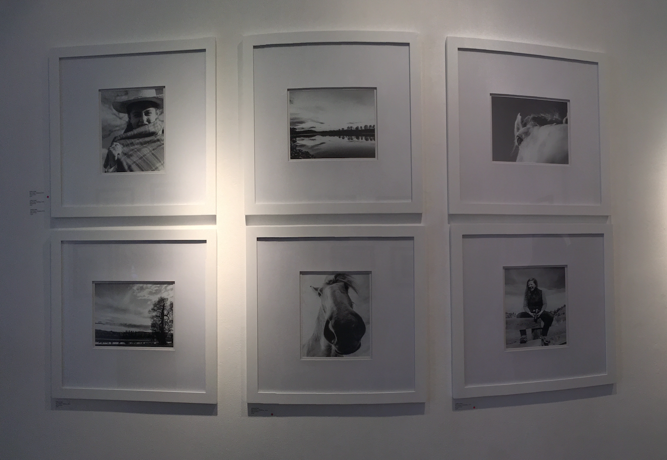 Screen Shot 2017-02-26 at 7.45.49 PM.png